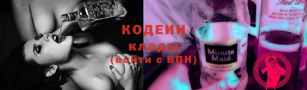 шишки Баксан