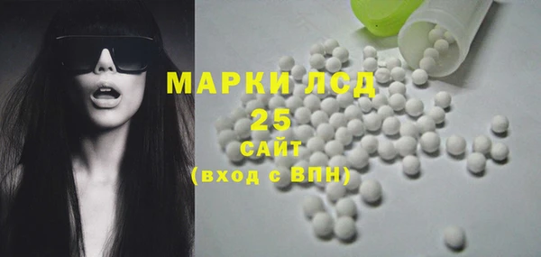 шишки Баксан