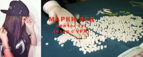 шишки Баксан